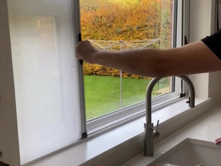 Ümitköy Kedi Sinekliği Haşerelere Son Burada