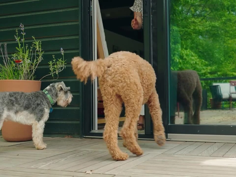 Ümitköy Pileli Sineklik Tam Uyumlu Sineklik