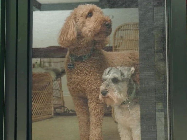 Ümitköy Sineklik Fiyatları Huzura Bir Adım