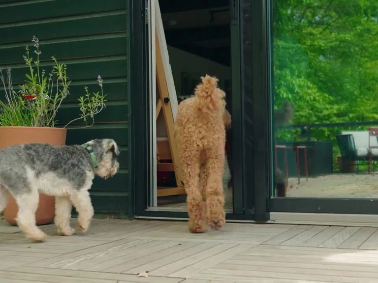 Ümitköy Stor Sineklik Sinek Sorunsuz Çözümler